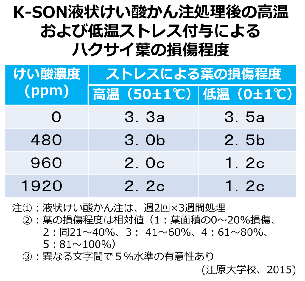 けい酸施用によるハクサイ菜の高温および低温ストレス強化